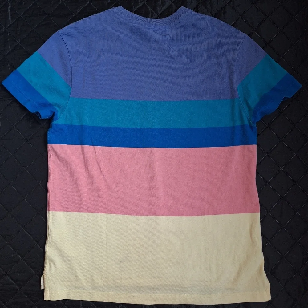 J.Crew Mens Rugby Crewneck Shirt Multistripe Short Sleeve M Medium 100% Cotton